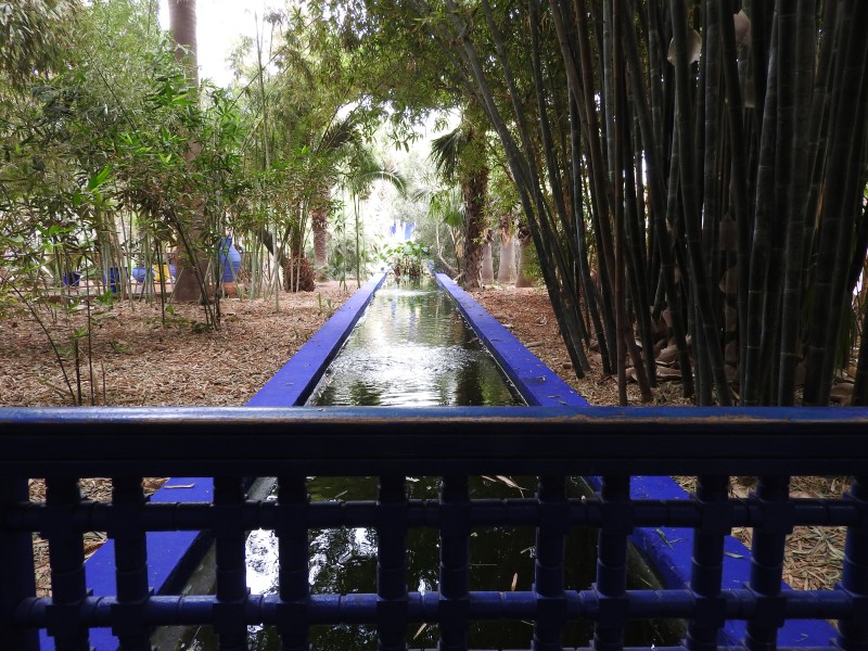 22 Jardin Majorelle